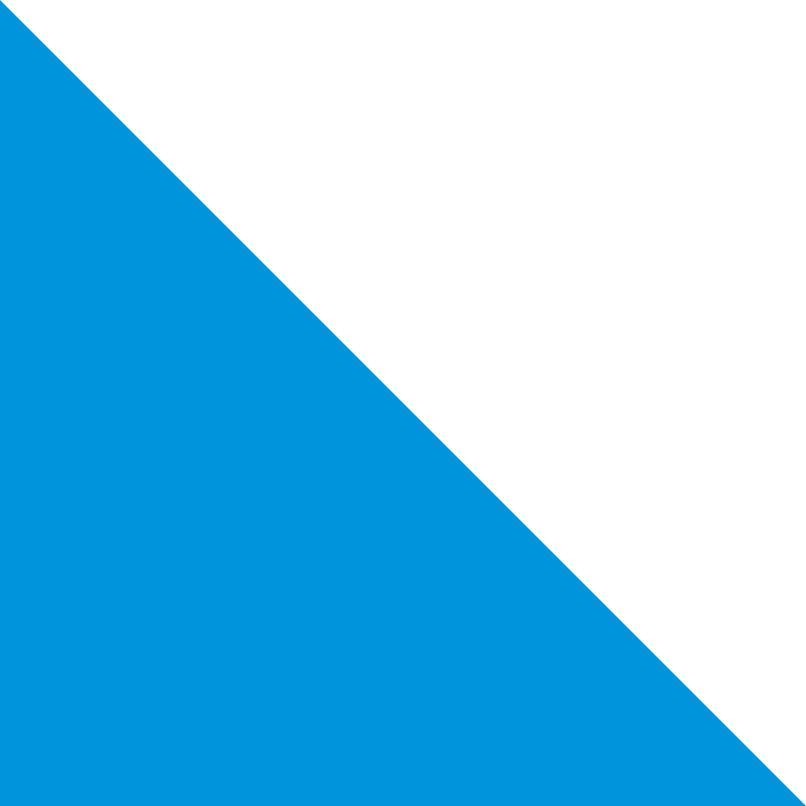 Flag of Zürich Canton