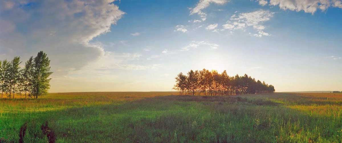 Kulikovo Field
