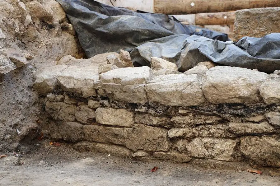 Lutetia wall