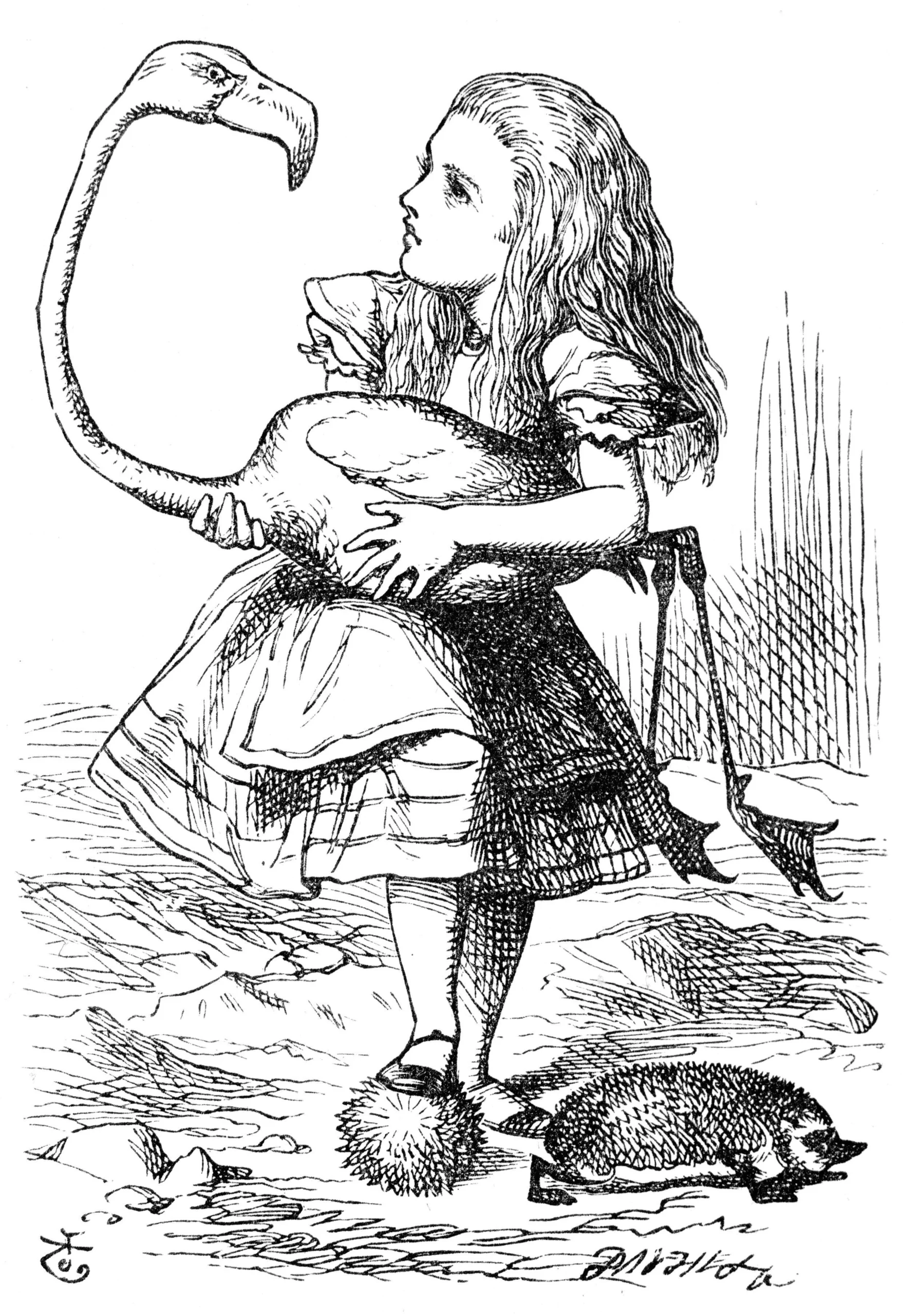אליס כפי שאייר אותה ג׳ון טניאל, 1865