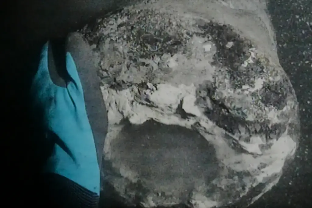 מבט תת-ימי על צוללן בעת שהוא מגלה תותח