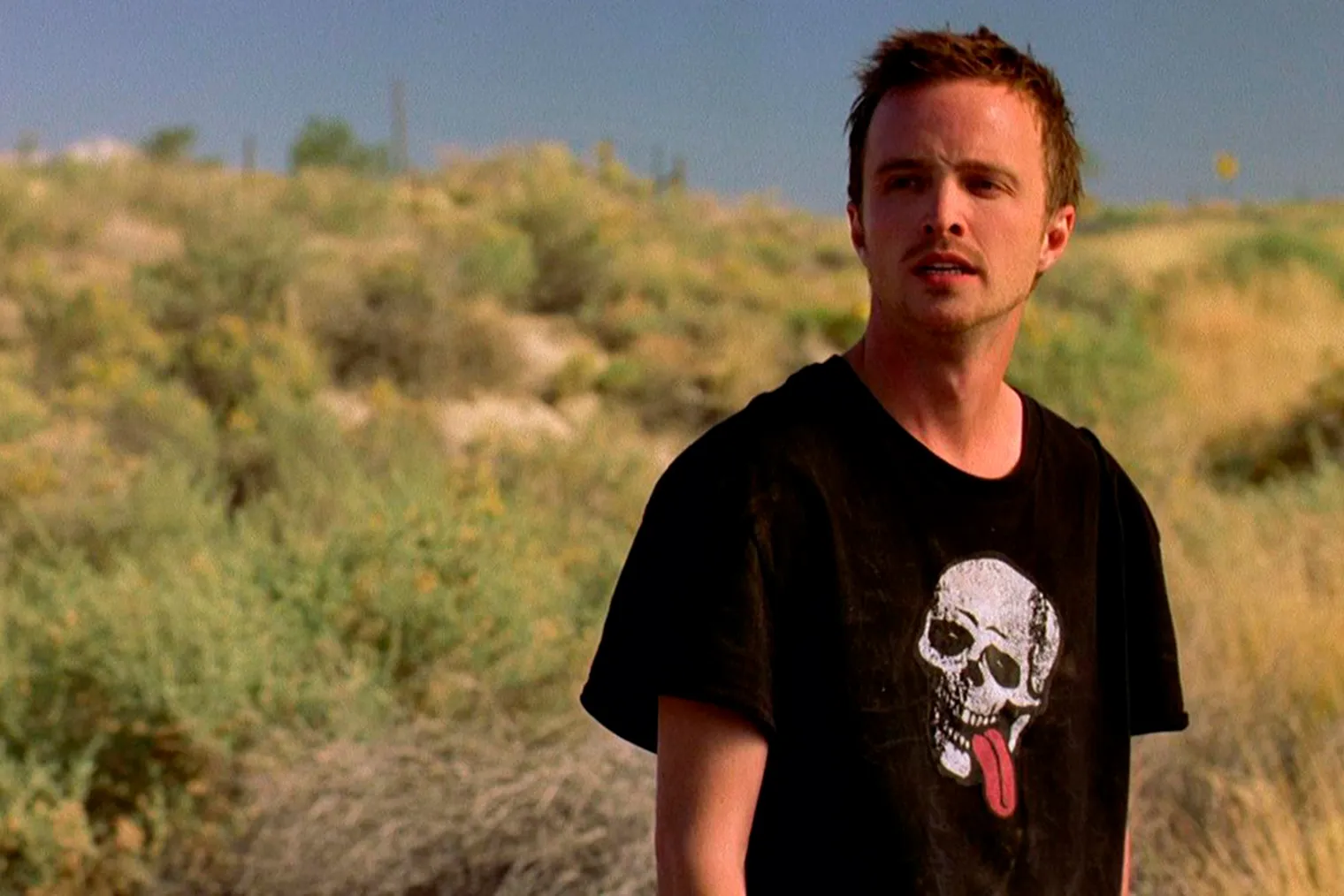 jesse pinkman