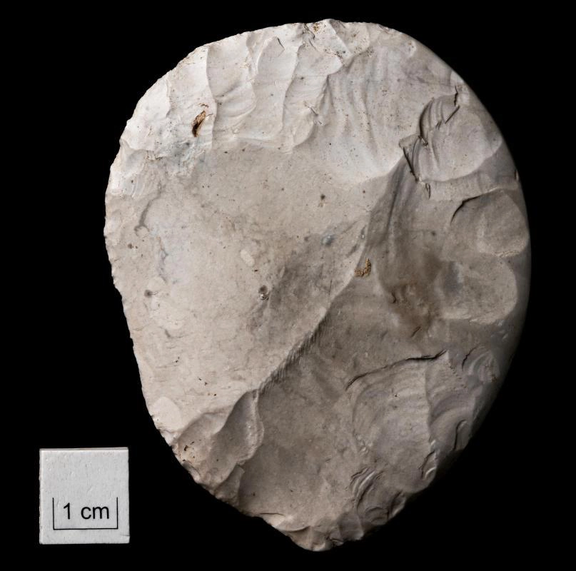 סכין צור בצורת דיסק שנמצאה בבאלפורד. מקור: Wessex Archaeology.