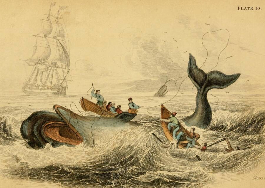 whalers-harpooning-a-whale
