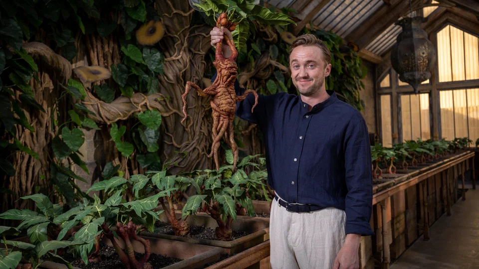 סדרת הארי פוטר. השמחה למעריצים?