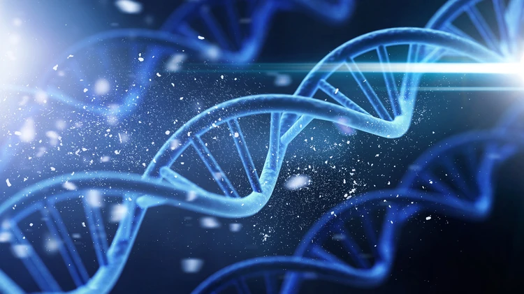 cGAS מזהה בציטוזול איומים על ה-DNA. צילום- Billion Photos/Shutterstock/Fotodom