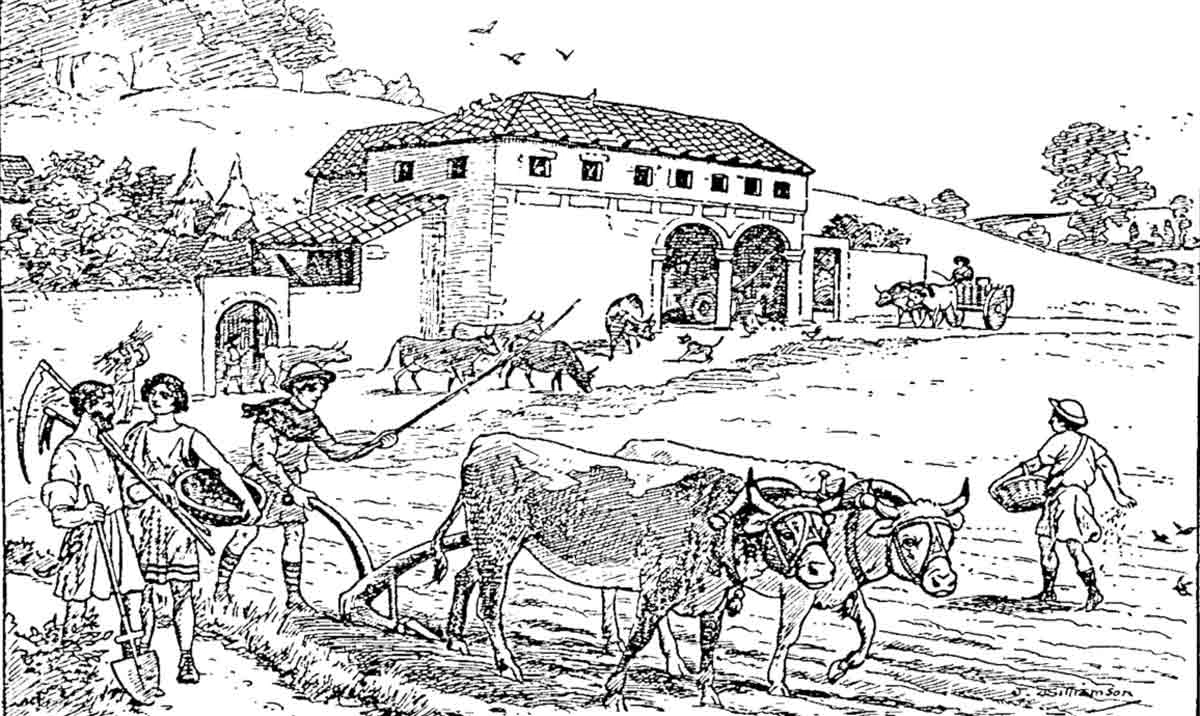 חווה רומאית