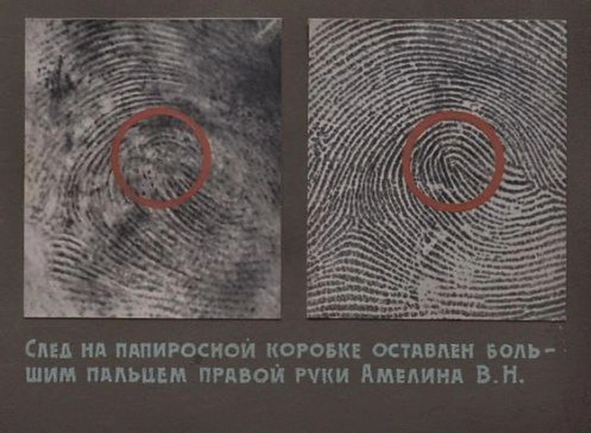 טביעות האצבעות של ואסילי אמלין מאגודל ידו הימנית שנשלף מחפיסת הסיגריות