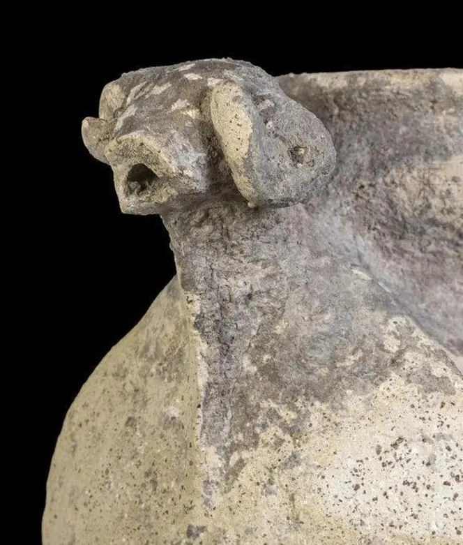 ידית כלי בצורת ראש אייל. מקור: קתרינה כצן, רשות העתיקות.