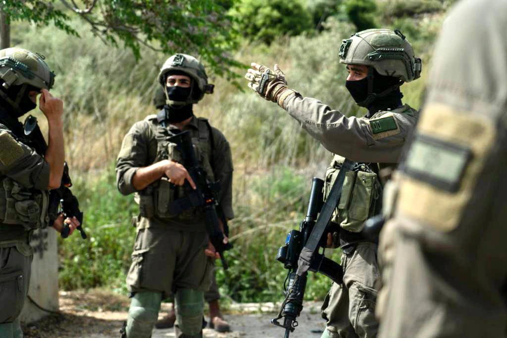 כוחות הביטחון הישראליים